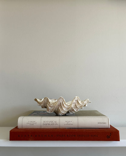 White and Pink Speckled Decorative Clam Shell