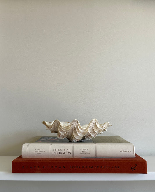 White and Pink Speckled Decorative Clam Shell
