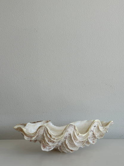White and Pink Speckled Decorative Clam Shell